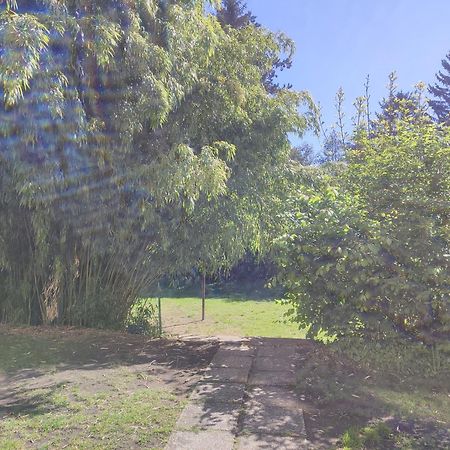 סנט פולטן Wohnung In St Poelten מראה חיצוני תמונה